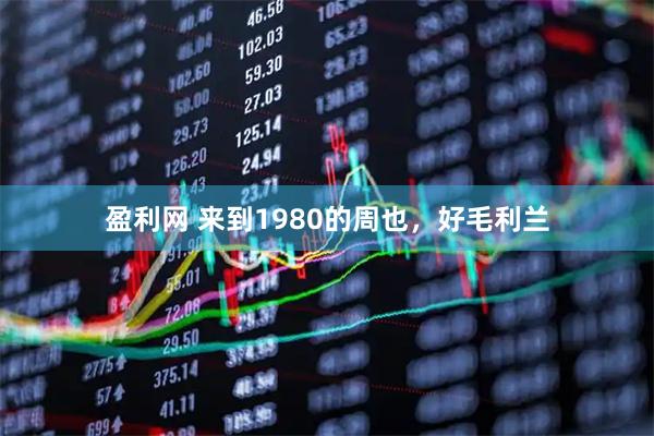 盈利网 来到1980的周也，好毛利兰
