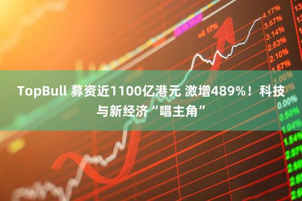 TopBull 募资近1100亿港元 激增489%！科技与新经济“唱主角”